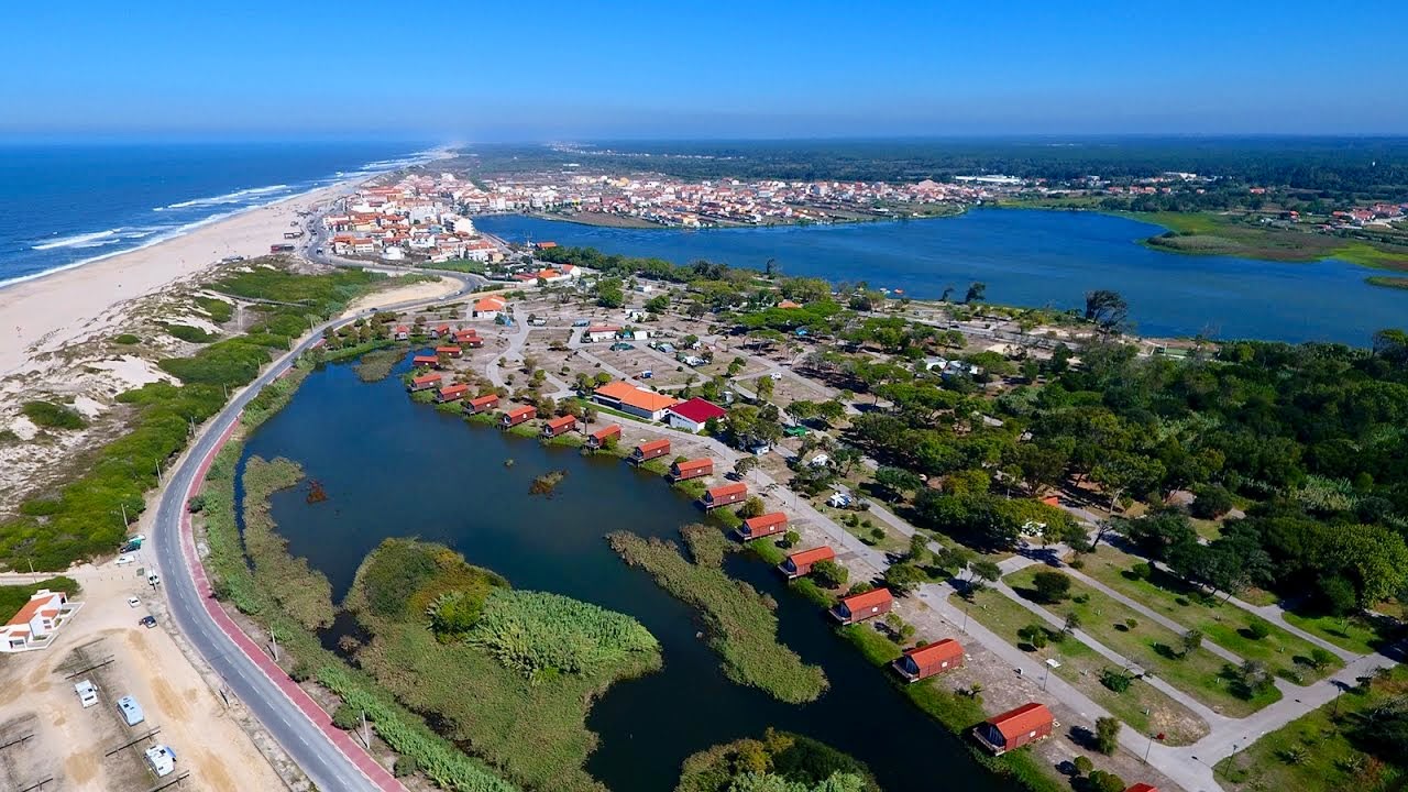 Aerial view of Mira with beach, lagoon and pine forest